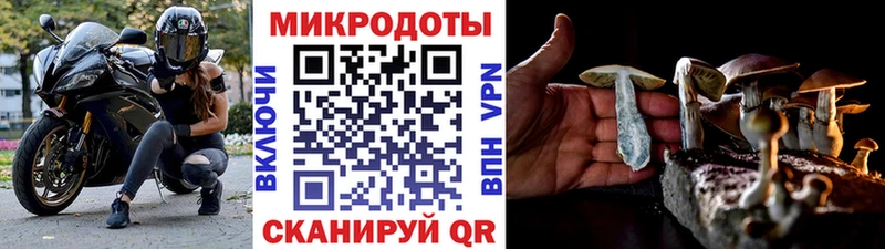 Галлюциногенные грибы Cubensis Купить где Козельск